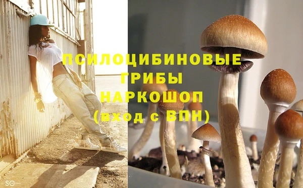 COCAINE Белокуриха